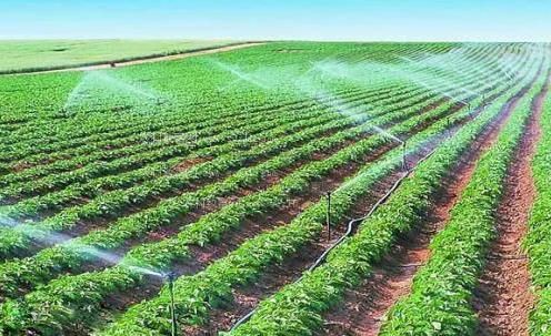 大屌肏骚浪美屄视频农田高 效节水灌溉